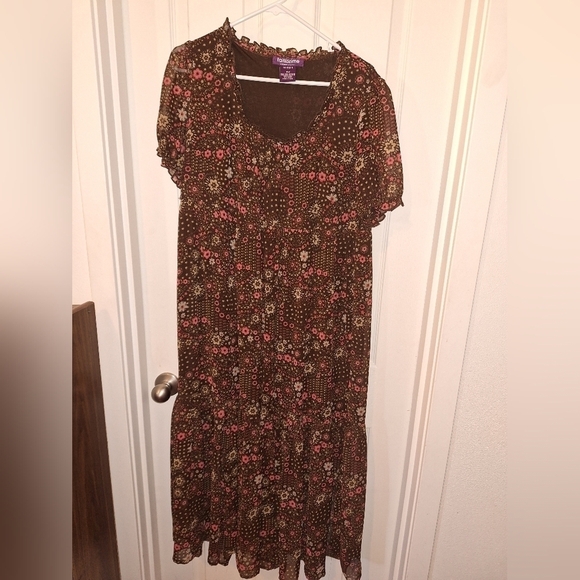 Taillissime Brown Sheer Long Dress 14W - Picture 2 of 5